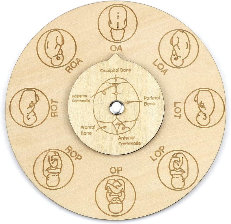 freespace Midwife fetal position tool, carved wooden fetal position wheel for student midwife doctor doula (Round) - Image 1